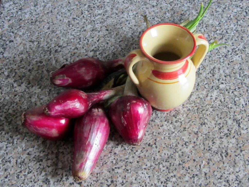 La cipolla rossa di Tropea