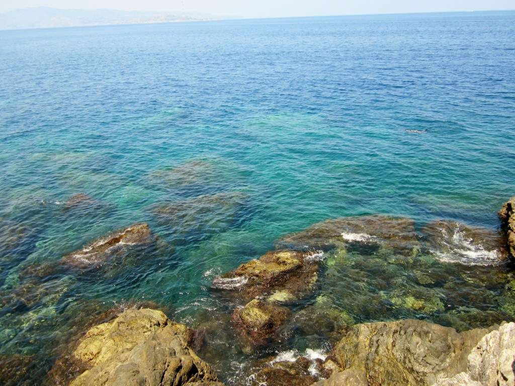 Scilla. La bellezza del&nbsp;mito