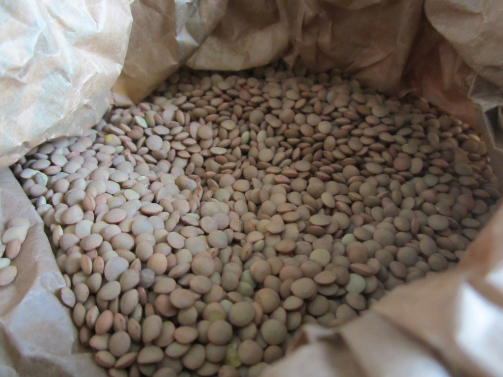 La lenticchia di Mormanno