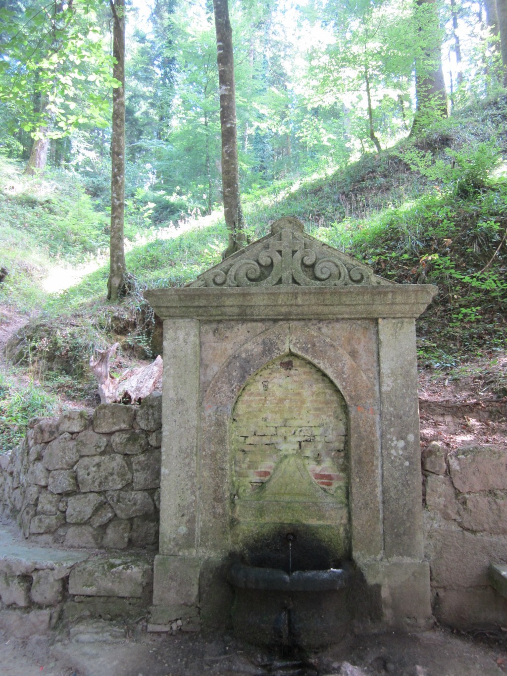 Passeggiata a Santa Maria del Bosco alla scoperta di San Bruno…