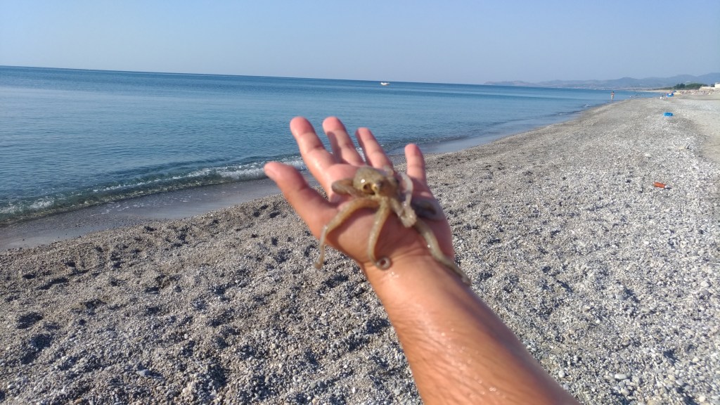 Viaggio in Calabria. Istantanee di un amore perpetuo. Episodio&nbsp;6